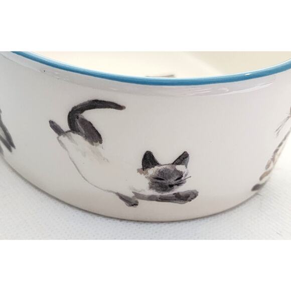 CAT BOWL-TAG-Food-Water-"Eat Sleep Play Repeat"-Multiple Cat Images-White - Picture 7 of 12